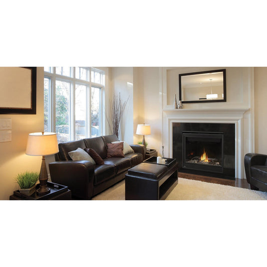 Napoleon Ascent 42" Millivolt Ignition, Natural Gas Direct Vent Fireplace