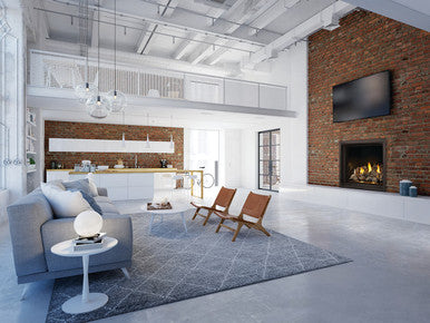 Napoleon Elevation 42 Gas Fireplace- EX42