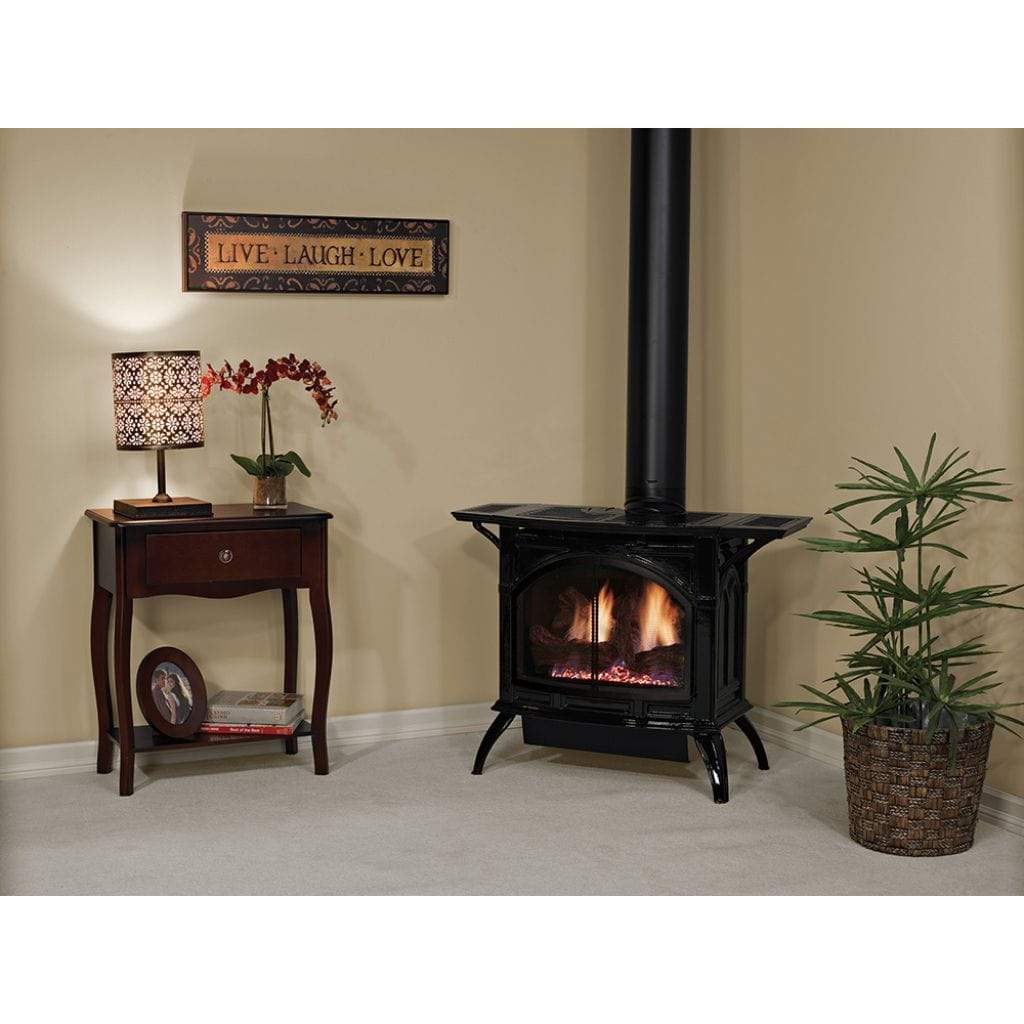 Empire Spirit 28" Matte Black Finish Intermittent Pilot Control With On/Off Switch, Propane Gas Direct Vent Cast Iron Medium Stove