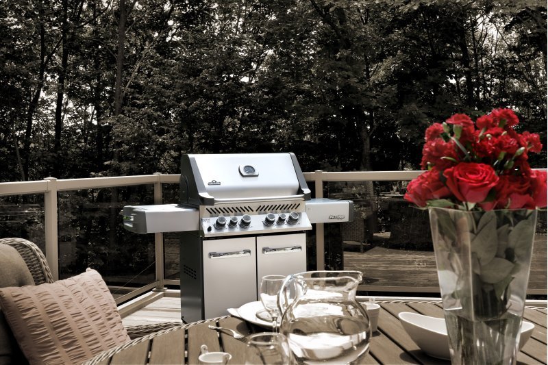 Napoleon Prestige 500 Freestanding Gas Grill with Rear & Side Burner