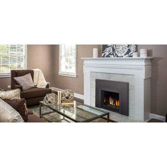Napoleon 29" Oakville 3 Glass Direct Vent Gas Fireplace Insert