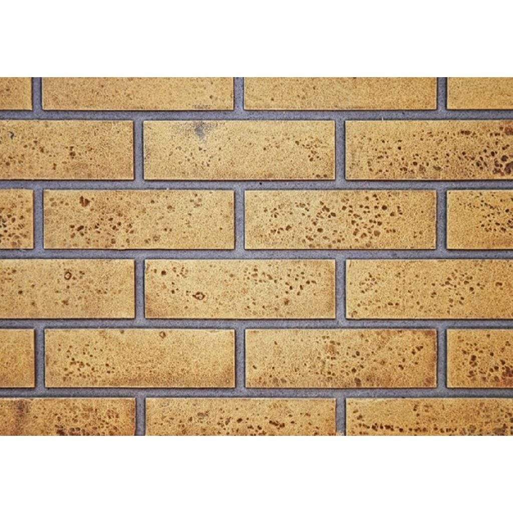 Napoleon Decorative Panels for Roxbury / Inspiration Fireplace Inserts