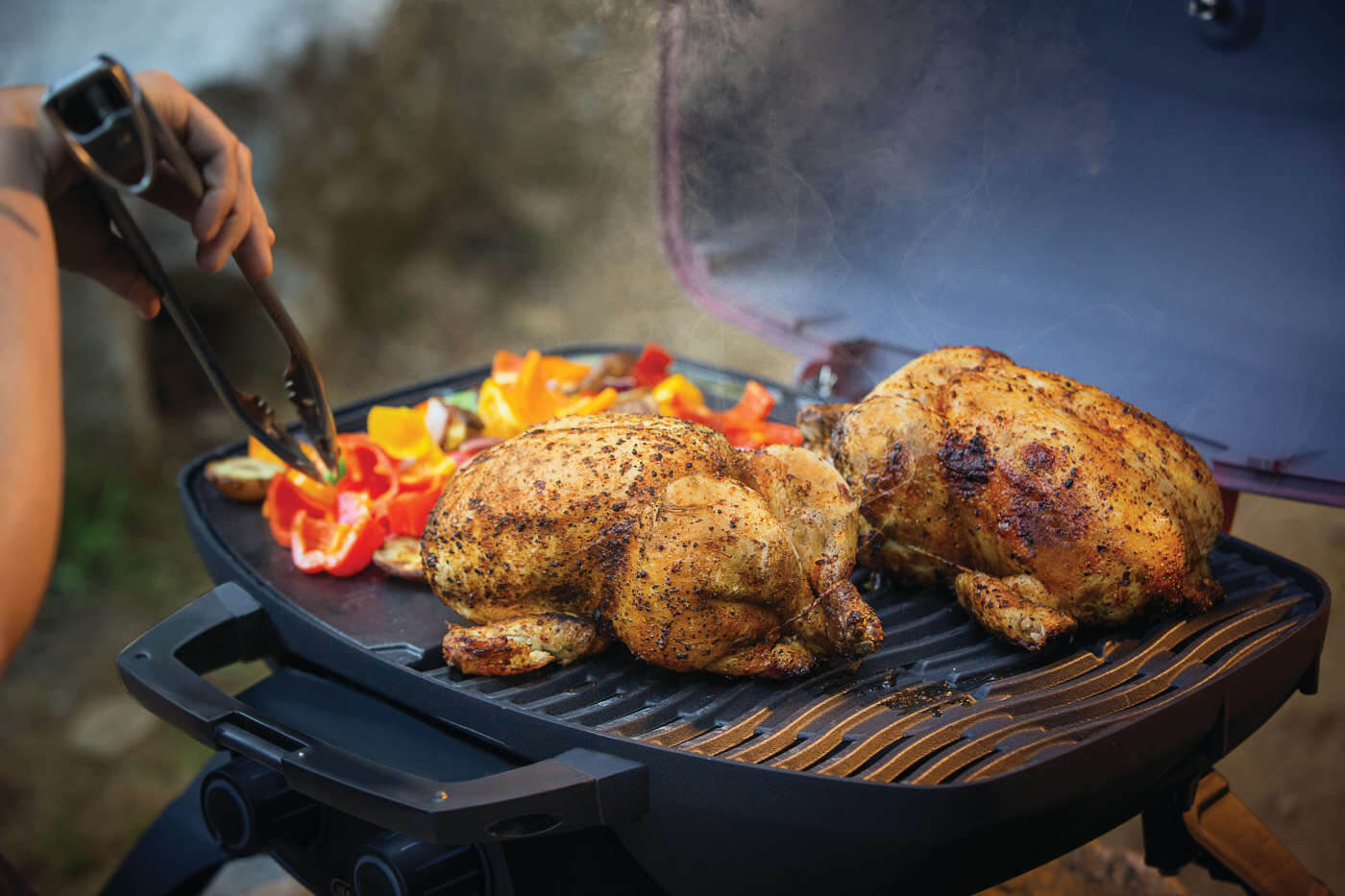 Napoleon TravelQ 285 with Griddle