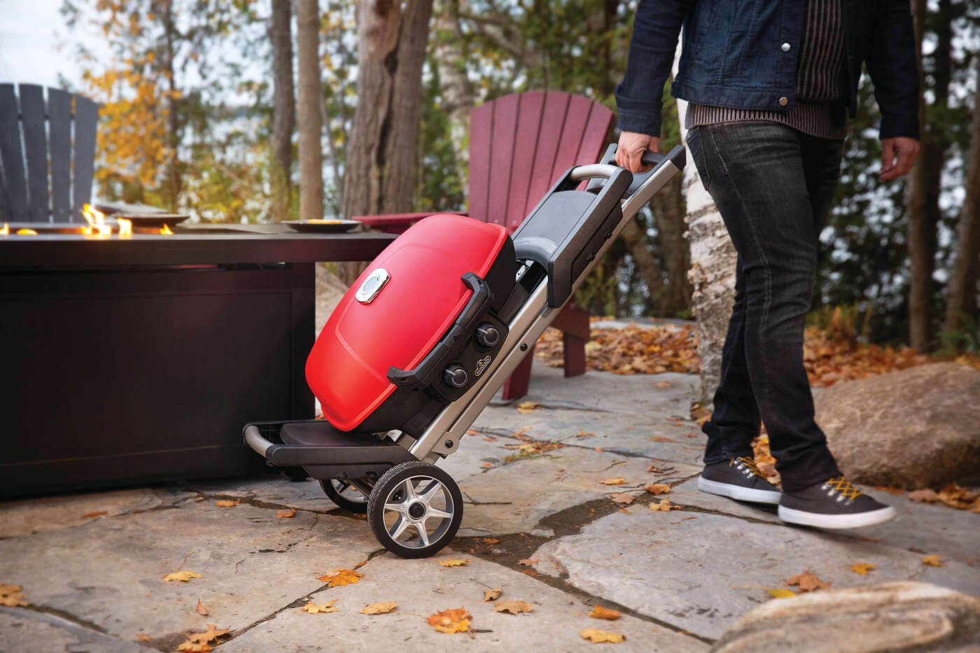 Napoleon TravelQ 285X with Scissor Cart and Griddle