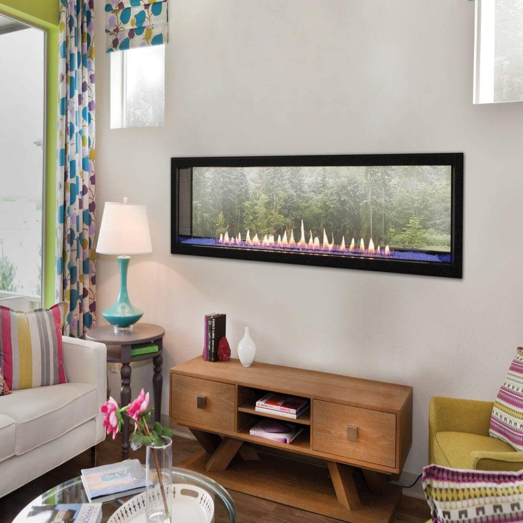Copy of Empire 48" Boulevard Direct Vent Linear Contemporary Gas Fireplace DVLL48BP92