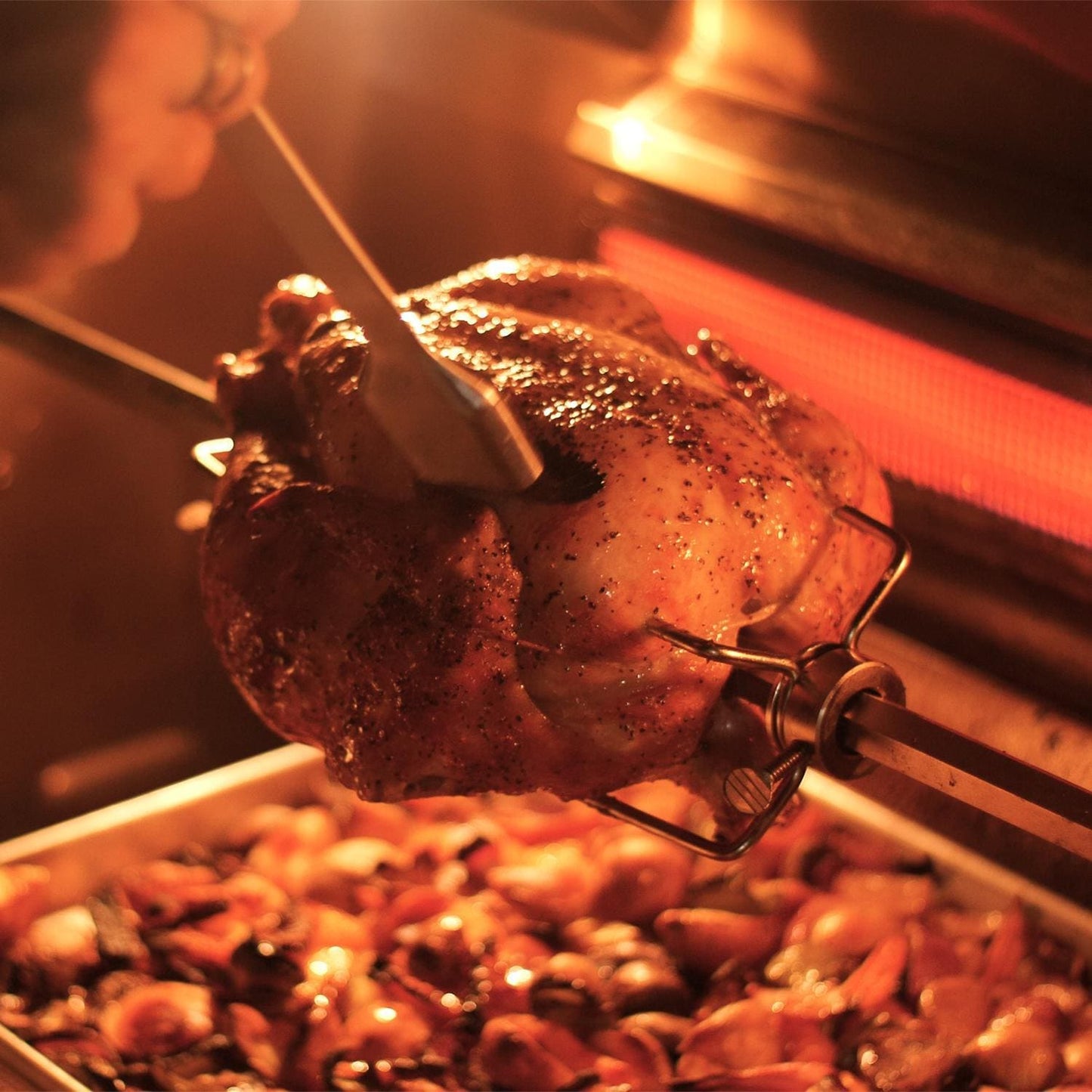 Fire Magic Echelon Diamond E660I 30" Built-In Gas Grill with Rotisserie and Digital Thermometer, Propane (E660I-8E1P)