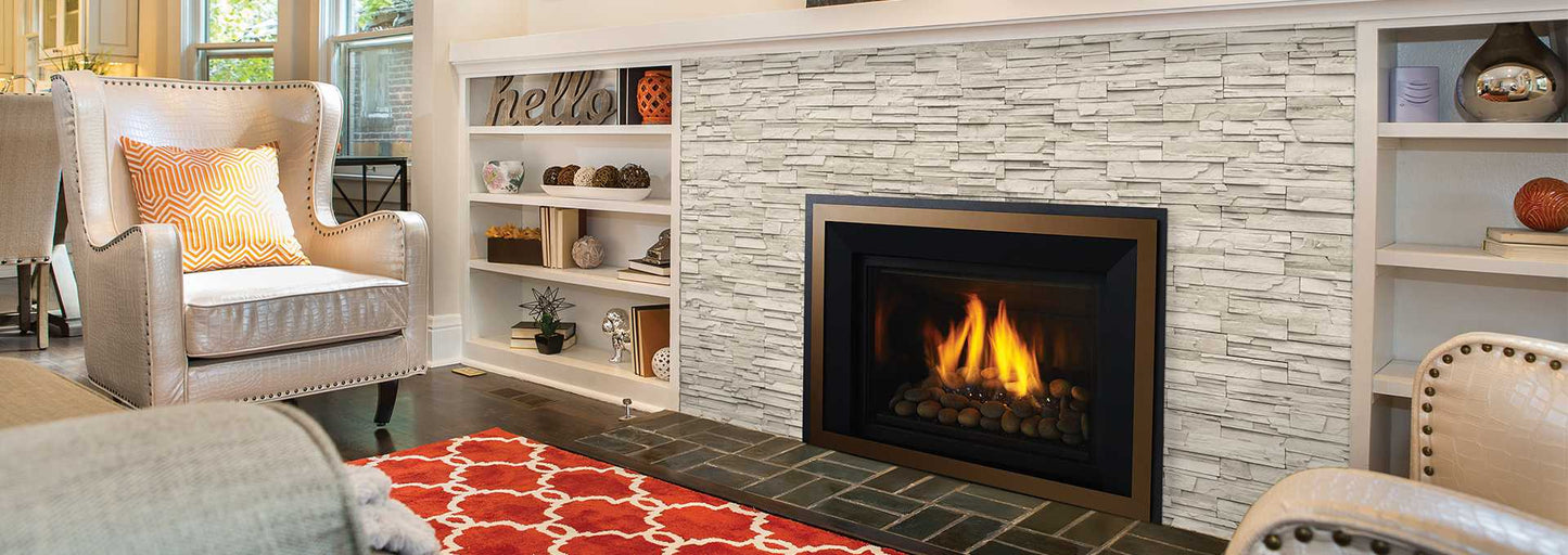 Regency Horizon HRI6E Gas Insert