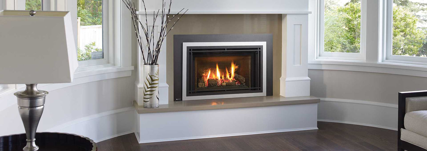 Regency Liberty LRI4E Gas Insert