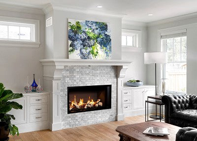 Valor 2500 LT1 Linear Gas Fireplace