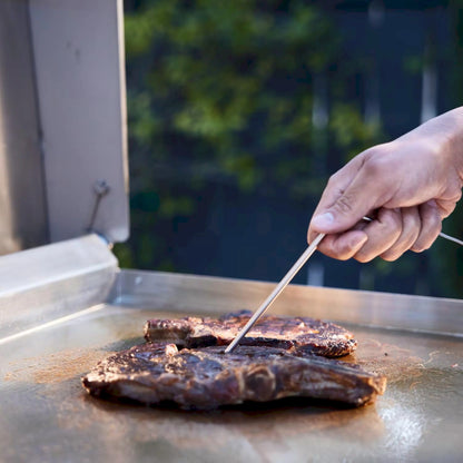 Blaze Grill Package - Premium LTE 30" Built-In Natural Gas Griddle with Lights and Grill Cart in Stainless Steel (AP2-GRIDDLE-LTE3-NG)