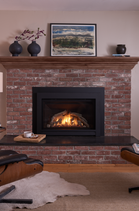 Jotul GI 645 DV Astrid Gas Insert