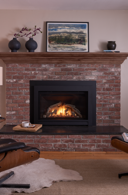 Jotul GI 645 DV Astrid Gas Insert