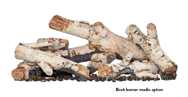 Jotul GI 645 DV Astrid Gas Insert