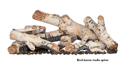 Jotul GI 645 DV Astrid Gas Insert