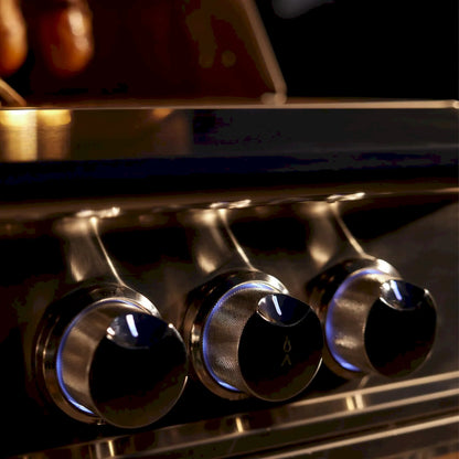Blaze Grill Package - LTE PRO 40" 5-Burner Natural Gas Grill with Digital Temperature Screen and Rear Infrared Burner, and Grill Cart in Stainless Steel (AP2-5LTEPRO-NG)