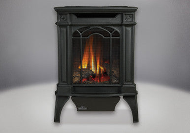 Napoleon Arlington Black Gas Stove- GDS20NE