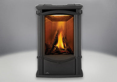 Napoleon Castlemore Black Gas Stove-GDS26N