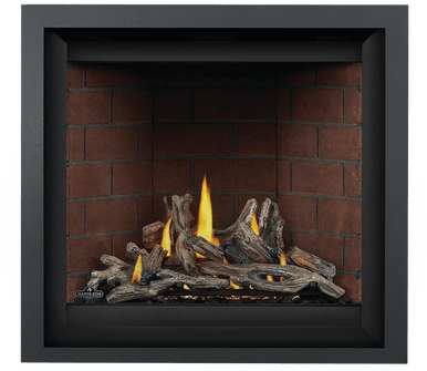 Napoleon Altitude 36" X Series Direct Vent Fireplace - AX36NTE-2