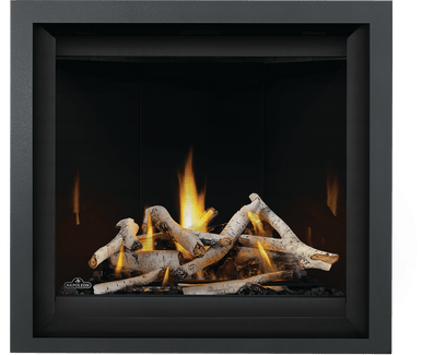 Napoleon Altitude 36" X Series Direct Vent Fireplace - AX36NTE-2