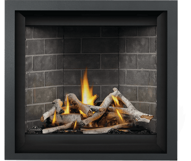 Napoleon Altitude 36" X Series Direct Vent Fireplace - AX36NTE-2