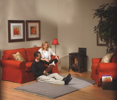 Napoleon Arlington Black Gas Stove- GDS20NE