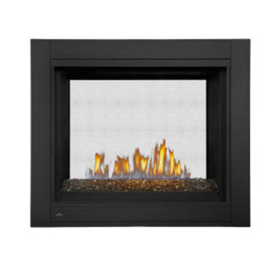 Napoleon Ascent Multi-View See-Thru Glass Bed Gas Fireplace-BHD4STGN