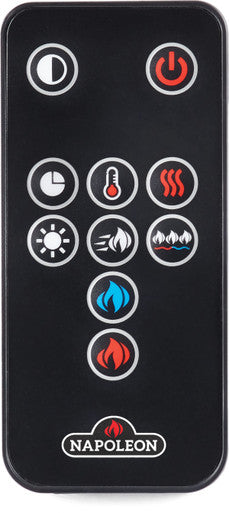 Napoleon CLEARion Elite 50" See Thru Electric Fireplace