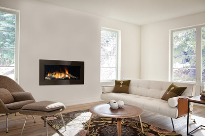 Regency Package Horizon Gas Fireplace 40"