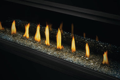 Napoleon Vector 50" Direct Vent Gas Fireplace - NG