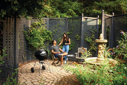 Napoleon Premium 22 Charcoal Kettle 22" Kettle Grill