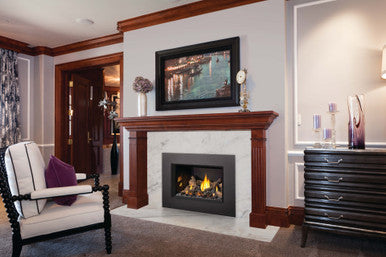 Napoleon Okaville GDIX3 Gas Insert