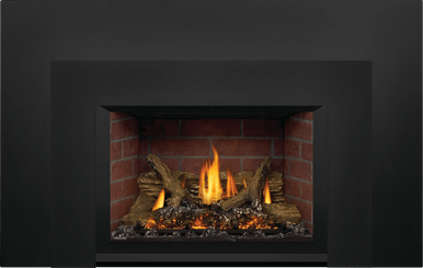 Napoleon Okaville GDIX3 Gas Insert
