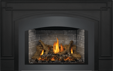 Napoleon Okaville GDIX3 Gas Insert
