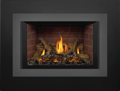 Napoleon Okaville GDIX3 Gas Insert