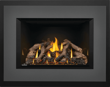 Napoleon Okaville GDIX4 Gas Insert