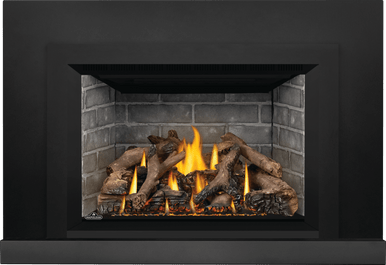 Napoleon Okaville GDIX4 Gas Insert