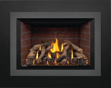 Napoleon Okaville GDIX4 Gas Insert