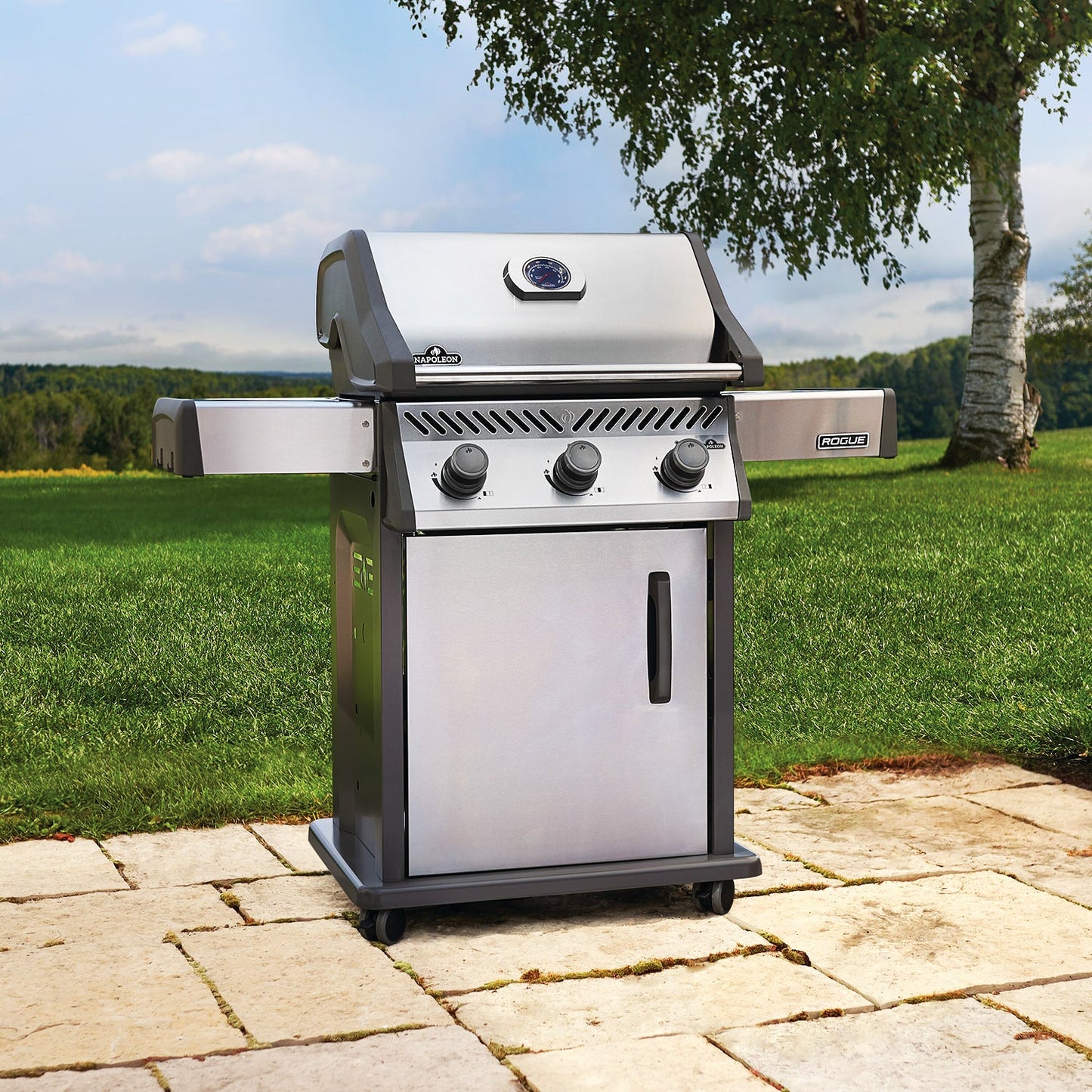 Napoleon Rogue 425 Gas Grill (Stainless Steel) 3-Burner