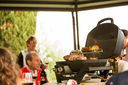 Napoleon TravelQ PRO285 Portable Gas Grill