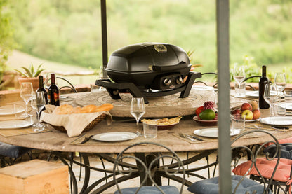 Napoleon TravelQ PRO285 Portable Gas Grill