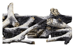 Napoleon Log Kit - High Definition Birch Logs, Glowing Embers, Charcoal