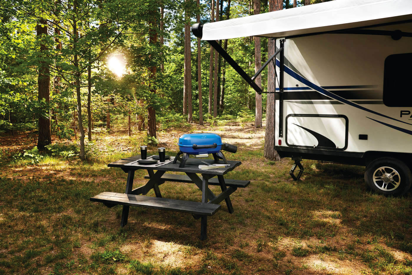Napoleon TravelQ 240 Portable Gas Grill