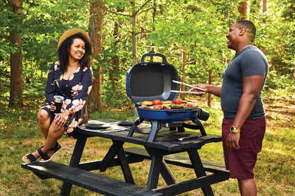Napoleon TravelQ 240 Portable Gas Grill