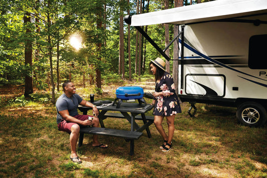 Napoleon TravelQ 240 Portable Gas Grill