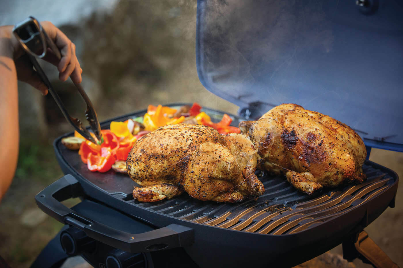 Napoleon TravelQ 285 Portable Gas Grill