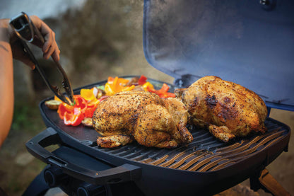 Napoleon TravelQ 285 Portable Gas Grill