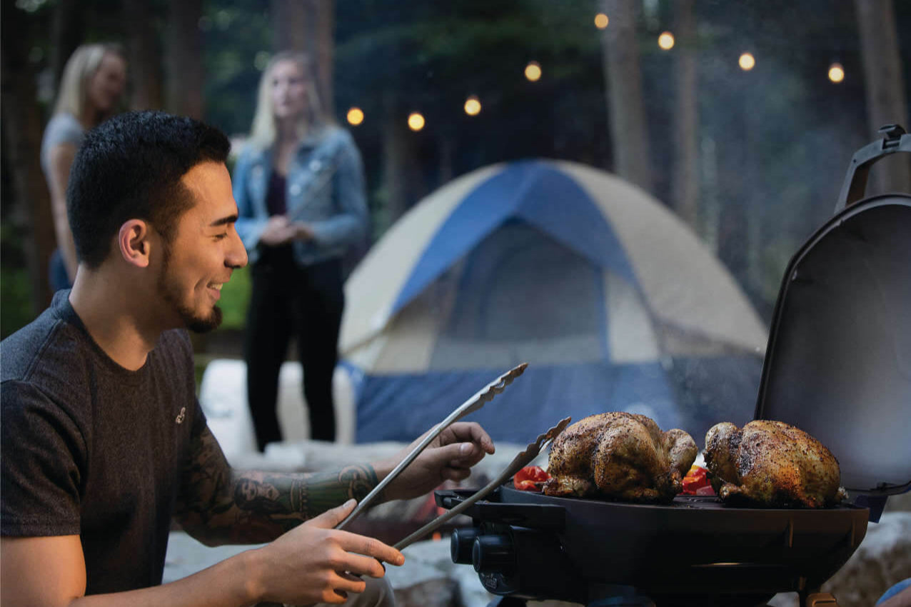 Napoleon TravelQ 285 with Griddle