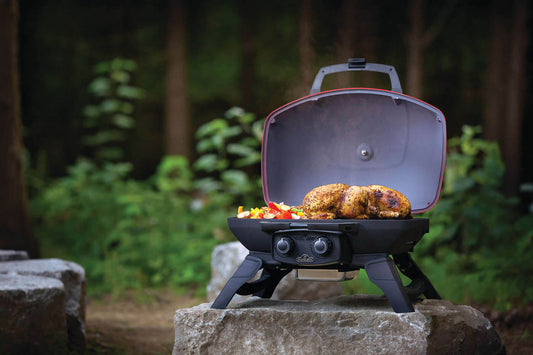 Napoleon TravelQ 285 with Griddle