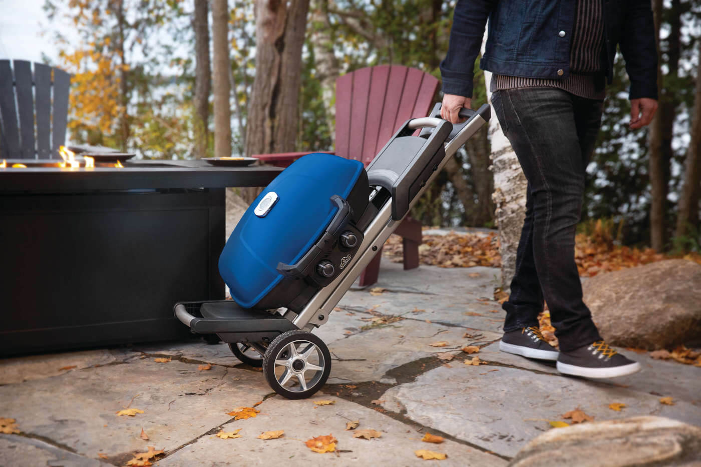 Napoleon TravelQ 285X with Scissor Cart