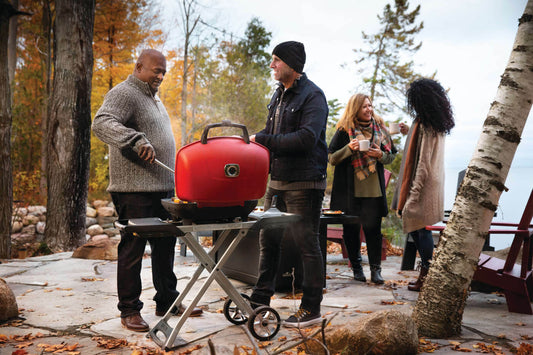 Napoleon TravelQ 285X with Scissor Cart and Griddle